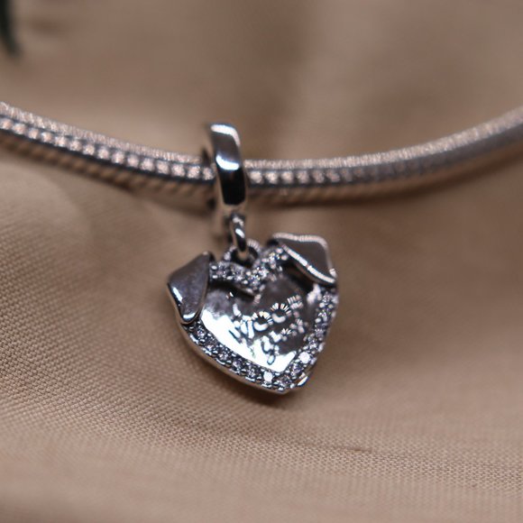 Hearts I Woof You Dog Dangle Bracelet Charm - S925 Sterling Silver Fits Pandora - Picture 2 of 6
